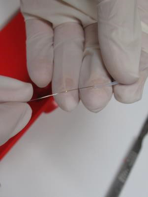 Replacement Platinum Wire