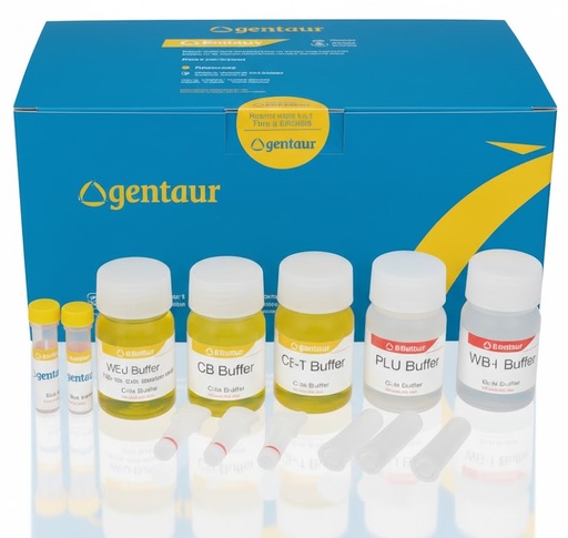 [sk-5616] MTHFR genotyping Reagents  (10 Reactions)